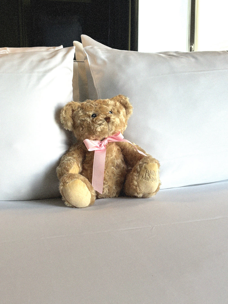 Ours en peluche