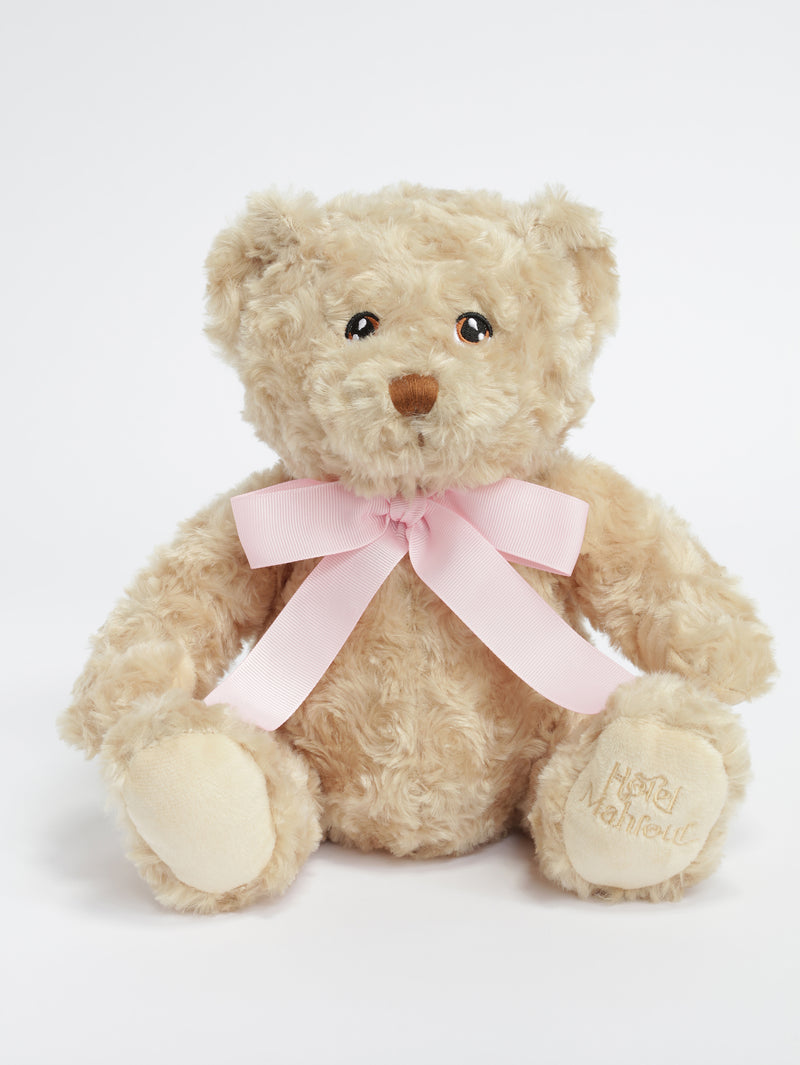 Ours en peluche