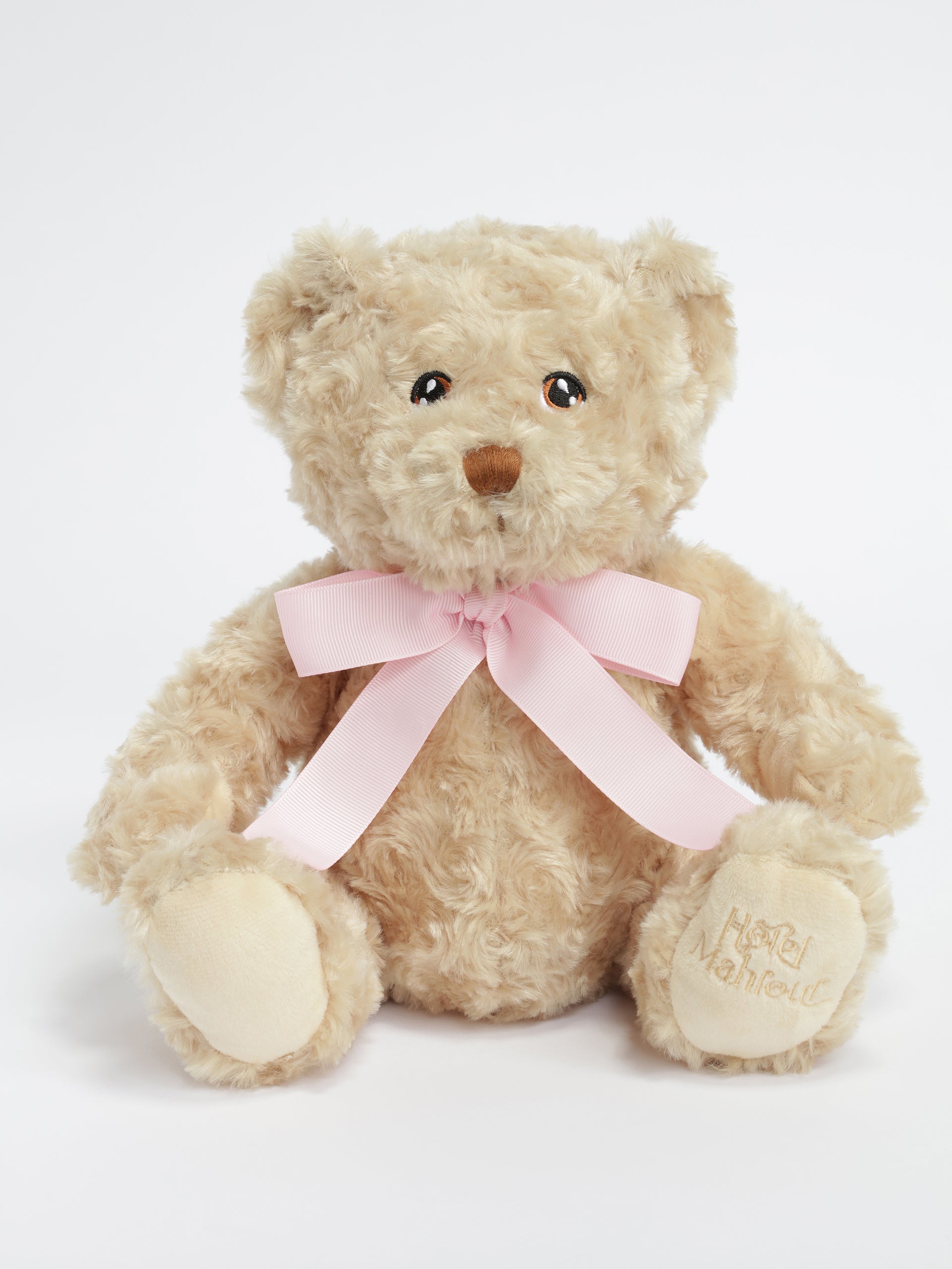 Ours en peluche