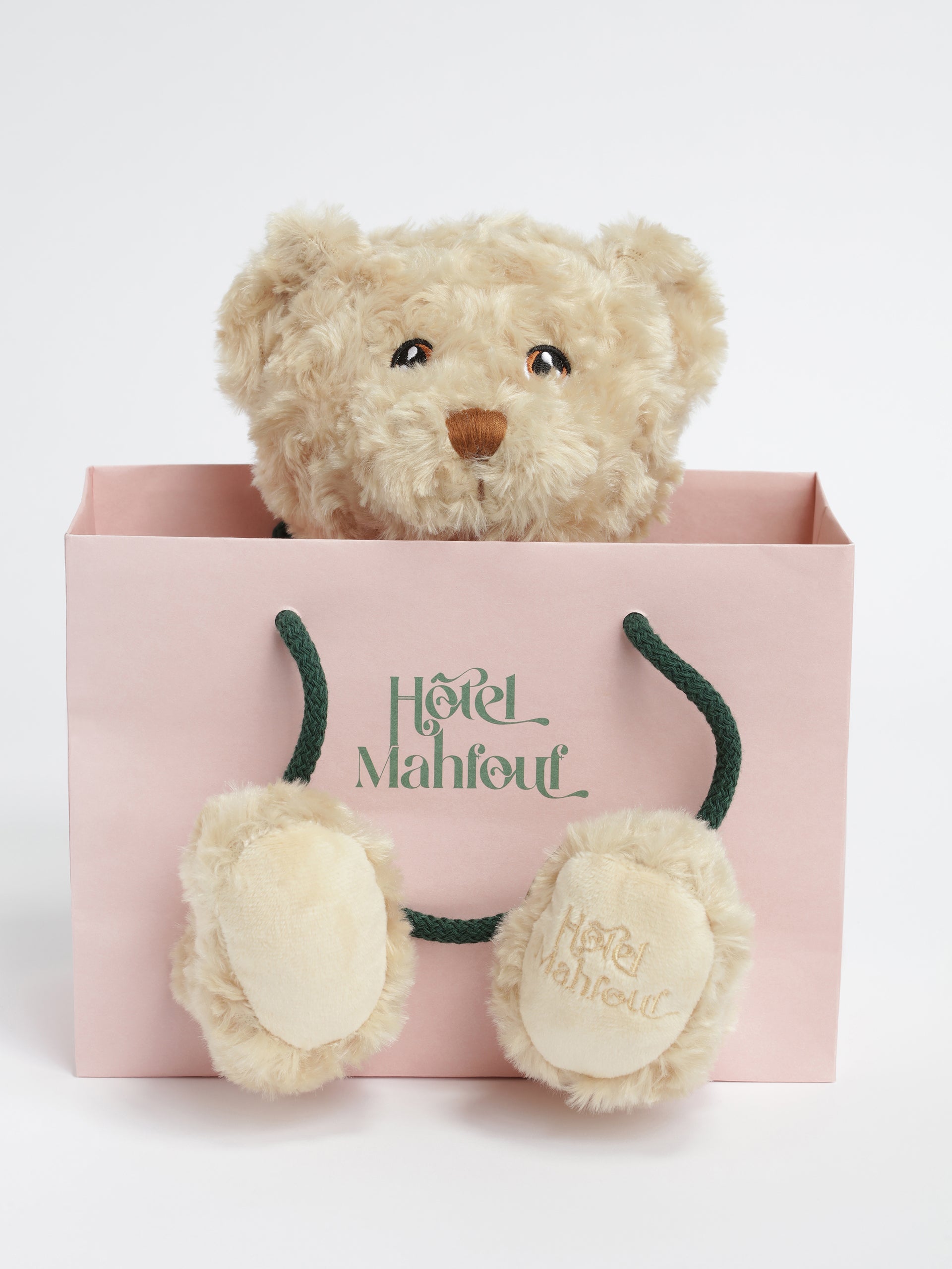 Ours en peluche
