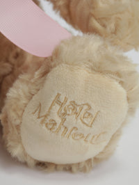 Ours en peluche
