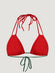 Triangle Brislecone