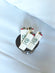 Briquet Blason