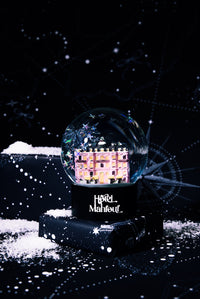 Boule à neige Mckinley